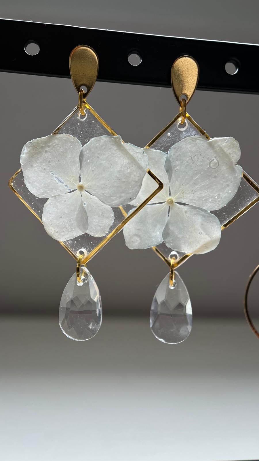 Whisper  - Hortensia blanca 