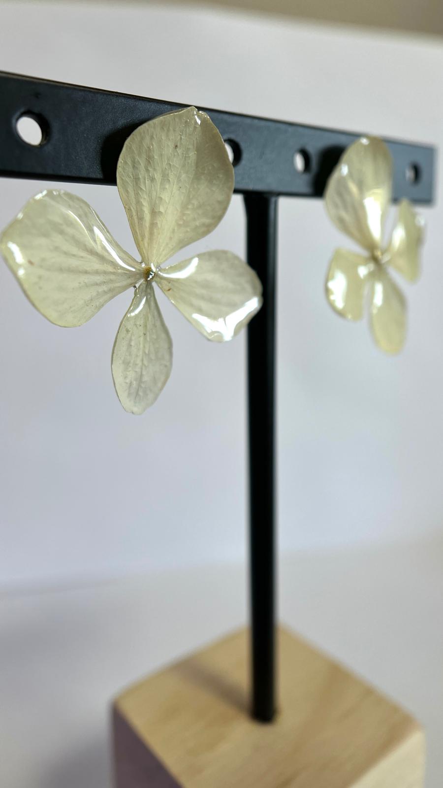 Pretty - Hortensia verde 