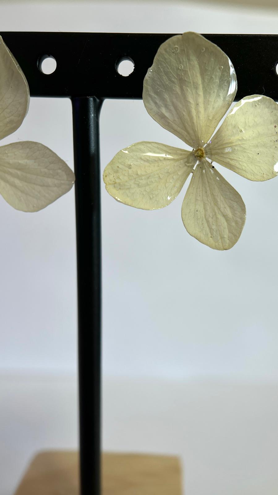 Pretty - Hortensia verde 