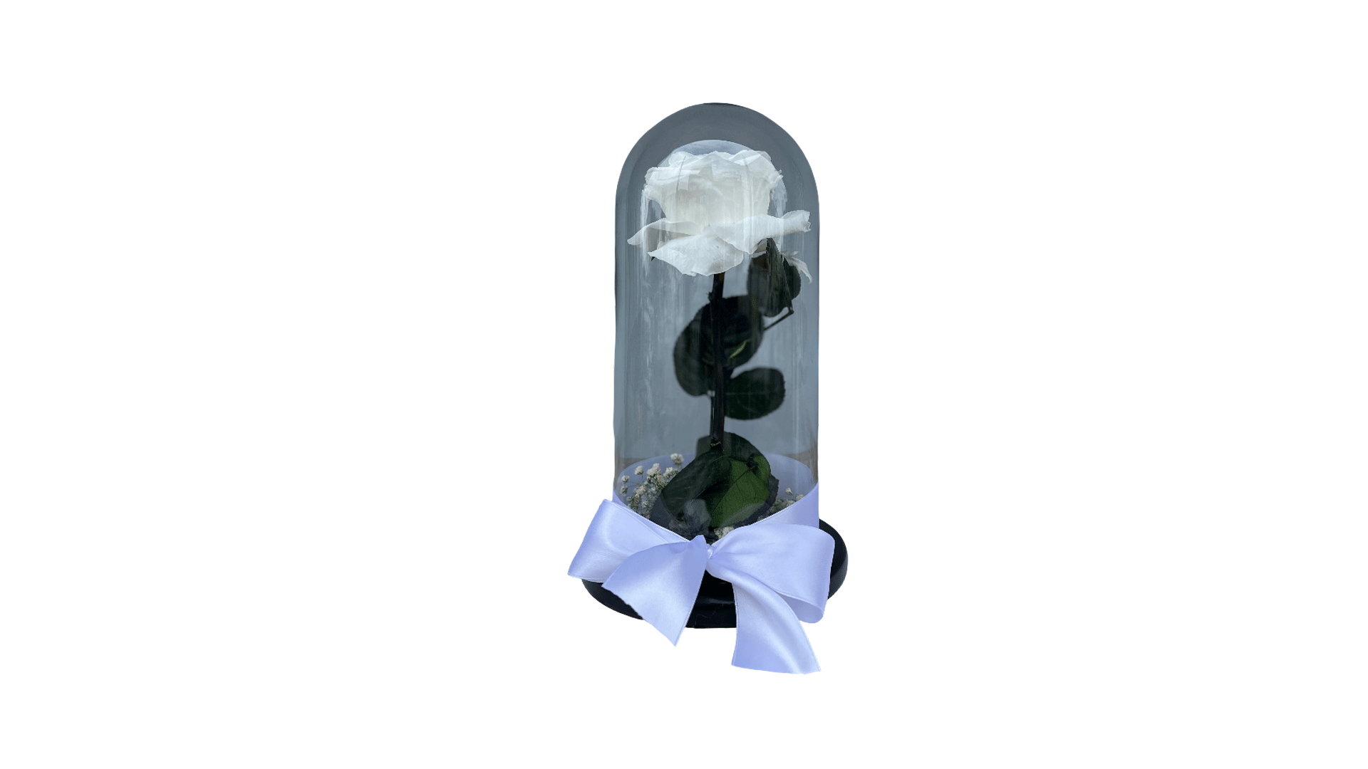 VA1003