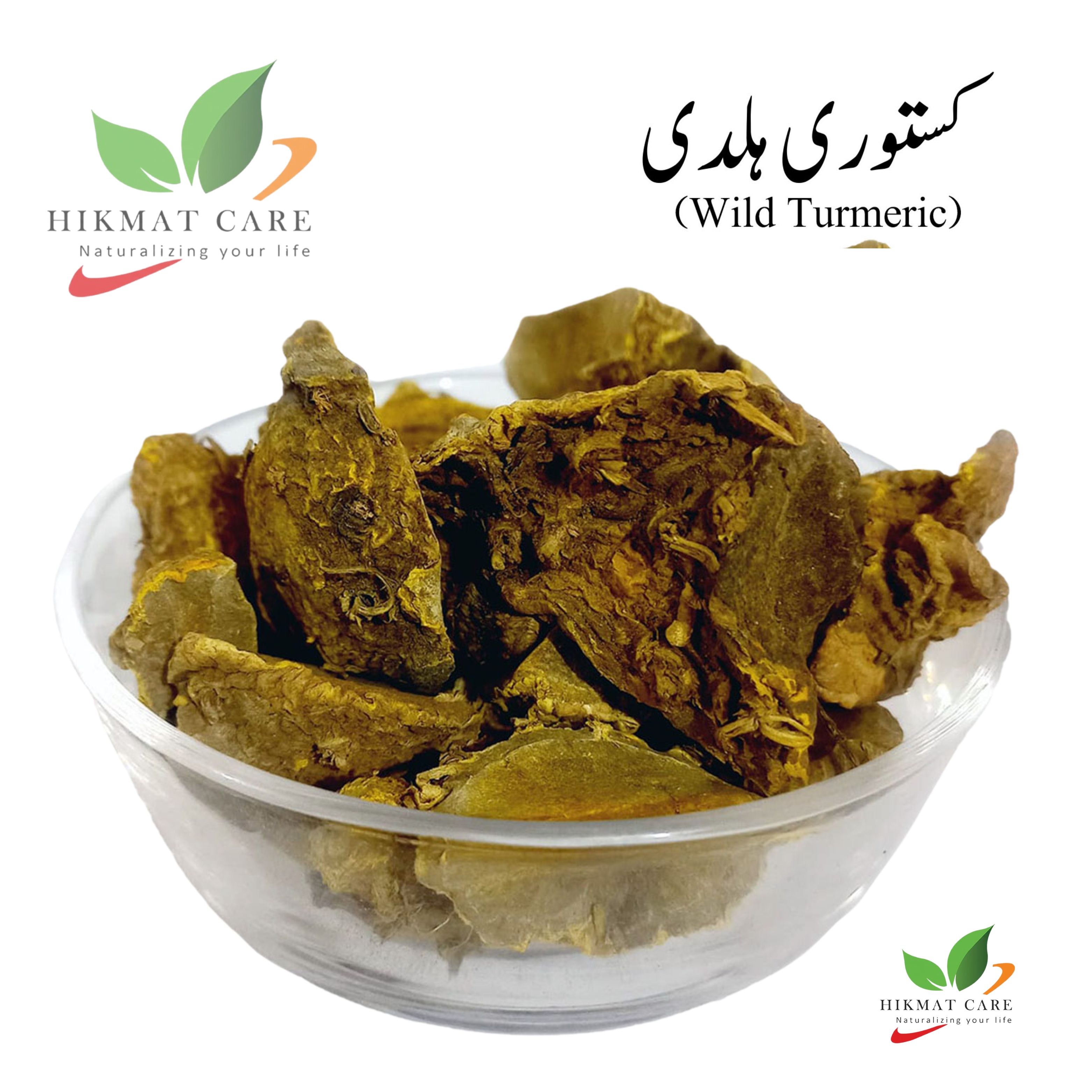 Wild Turmeric