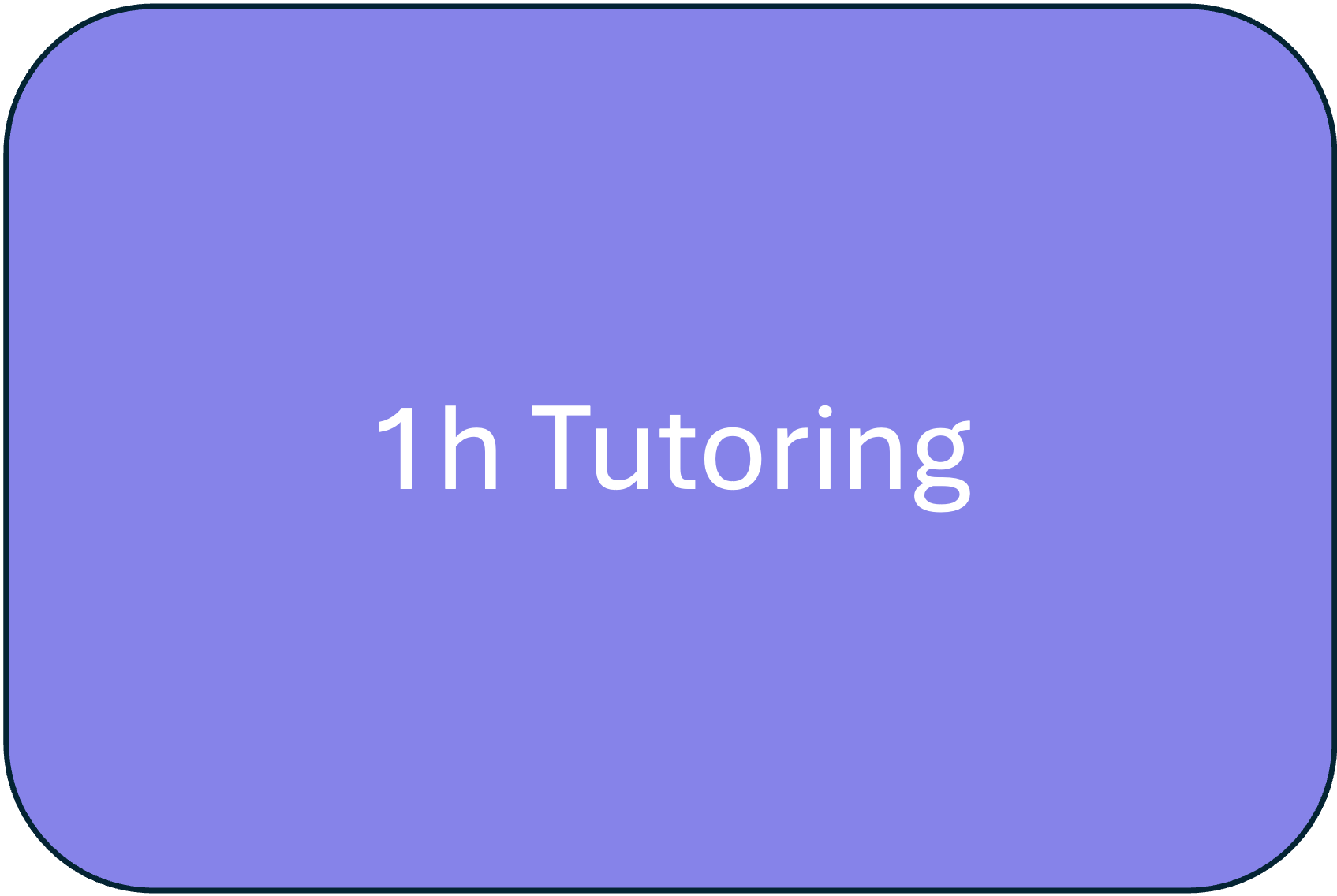 1h tutoring session