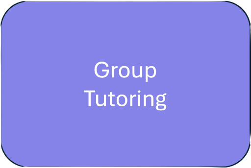 1h group tutoring session