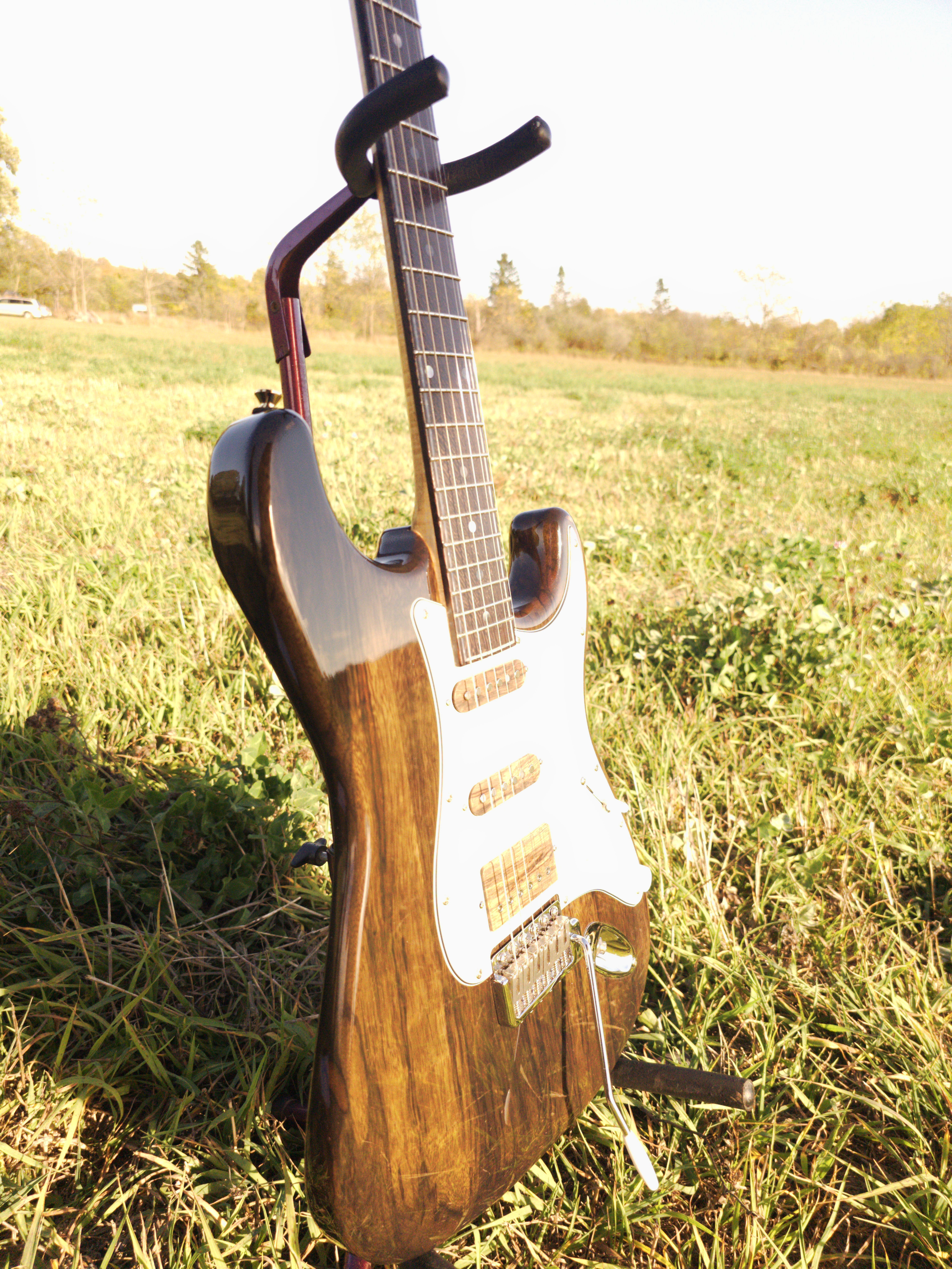 Birdman's Cormorant Guitar
