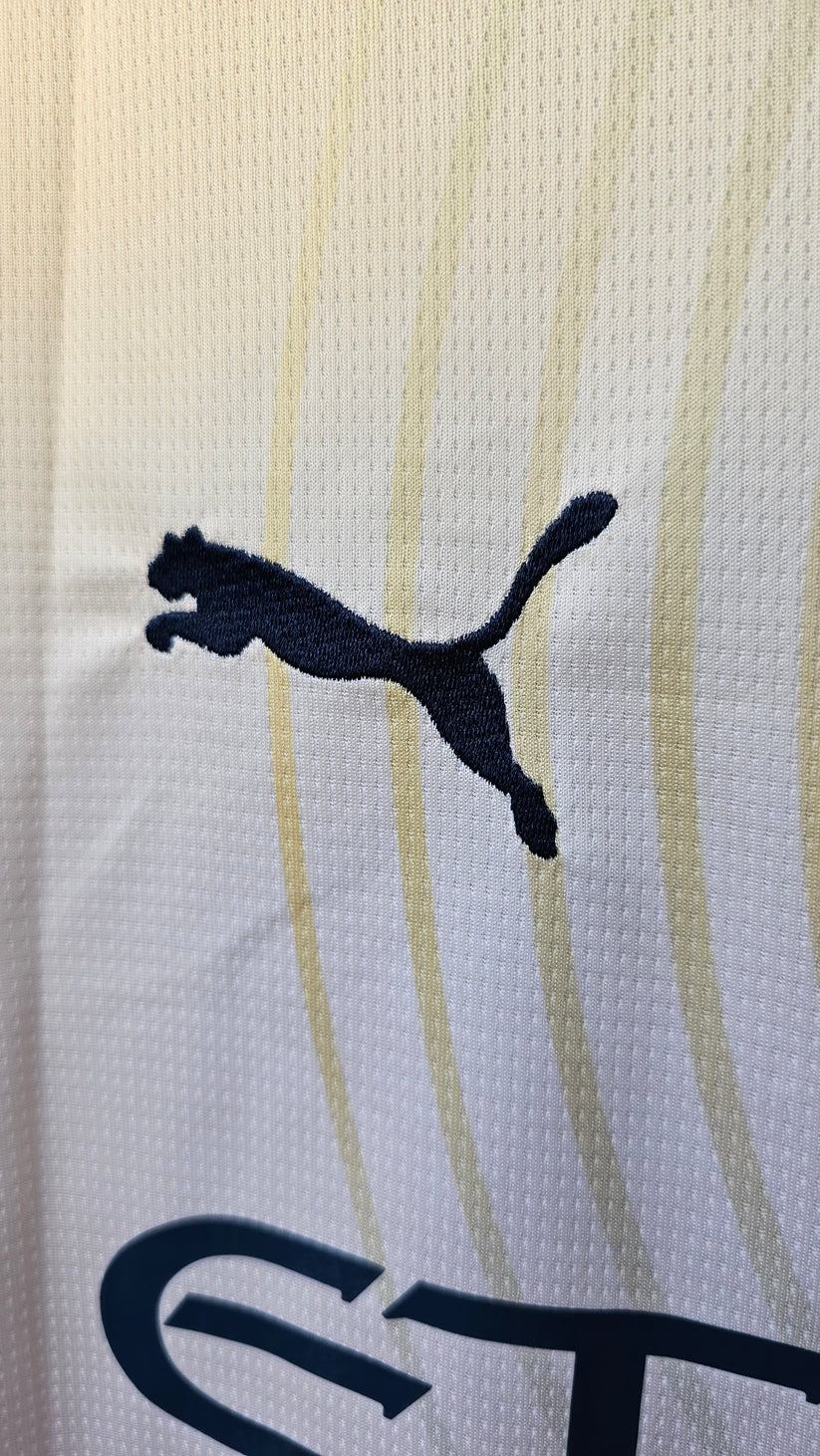 Manchester City Third 2024/25