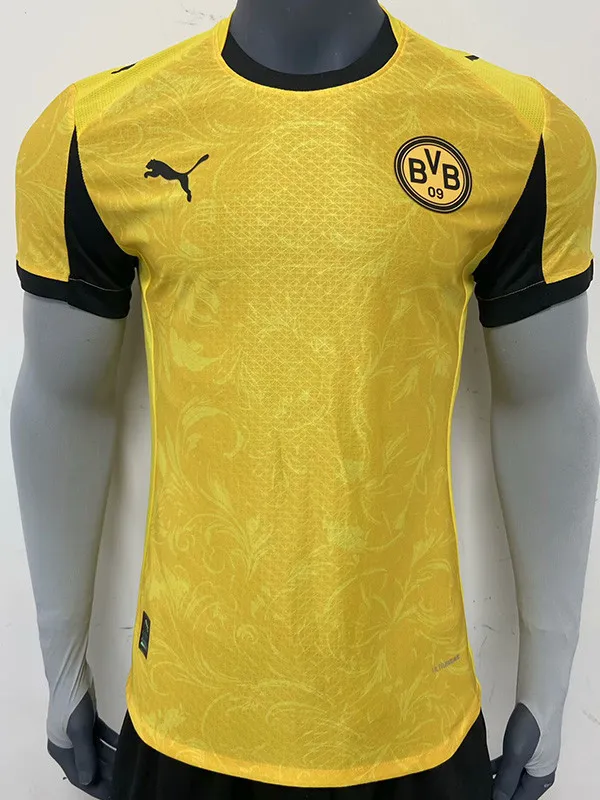 Borussia Dortmund  25/26