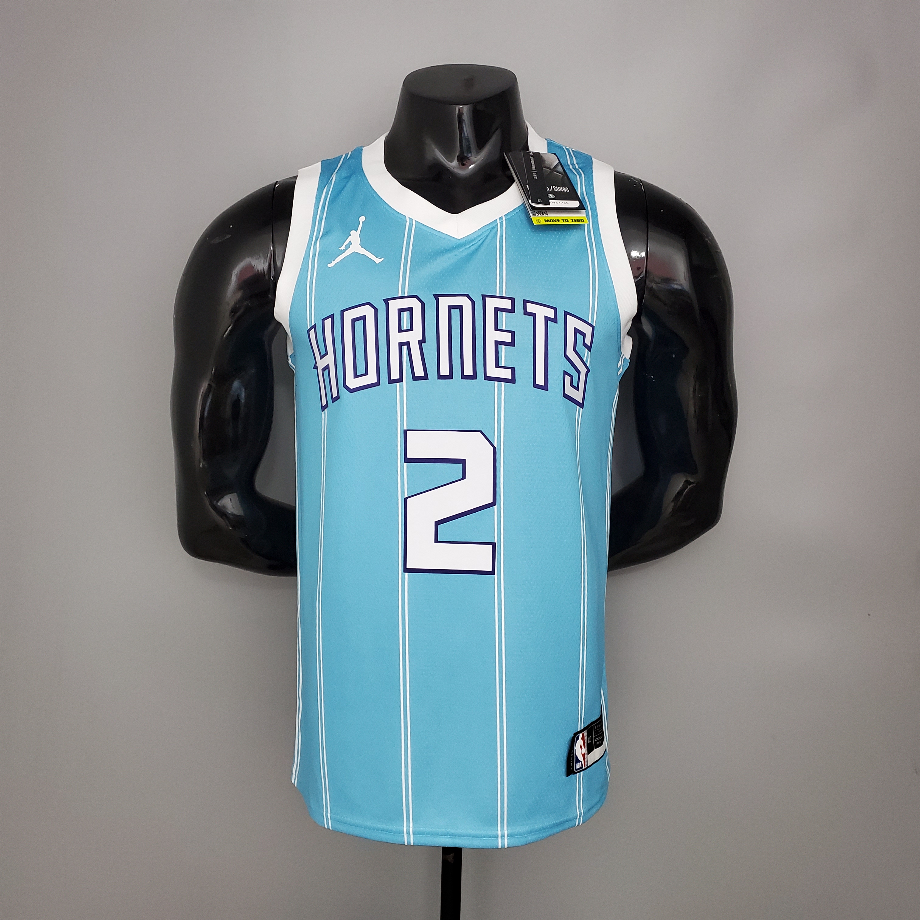 Charlotte Hornets