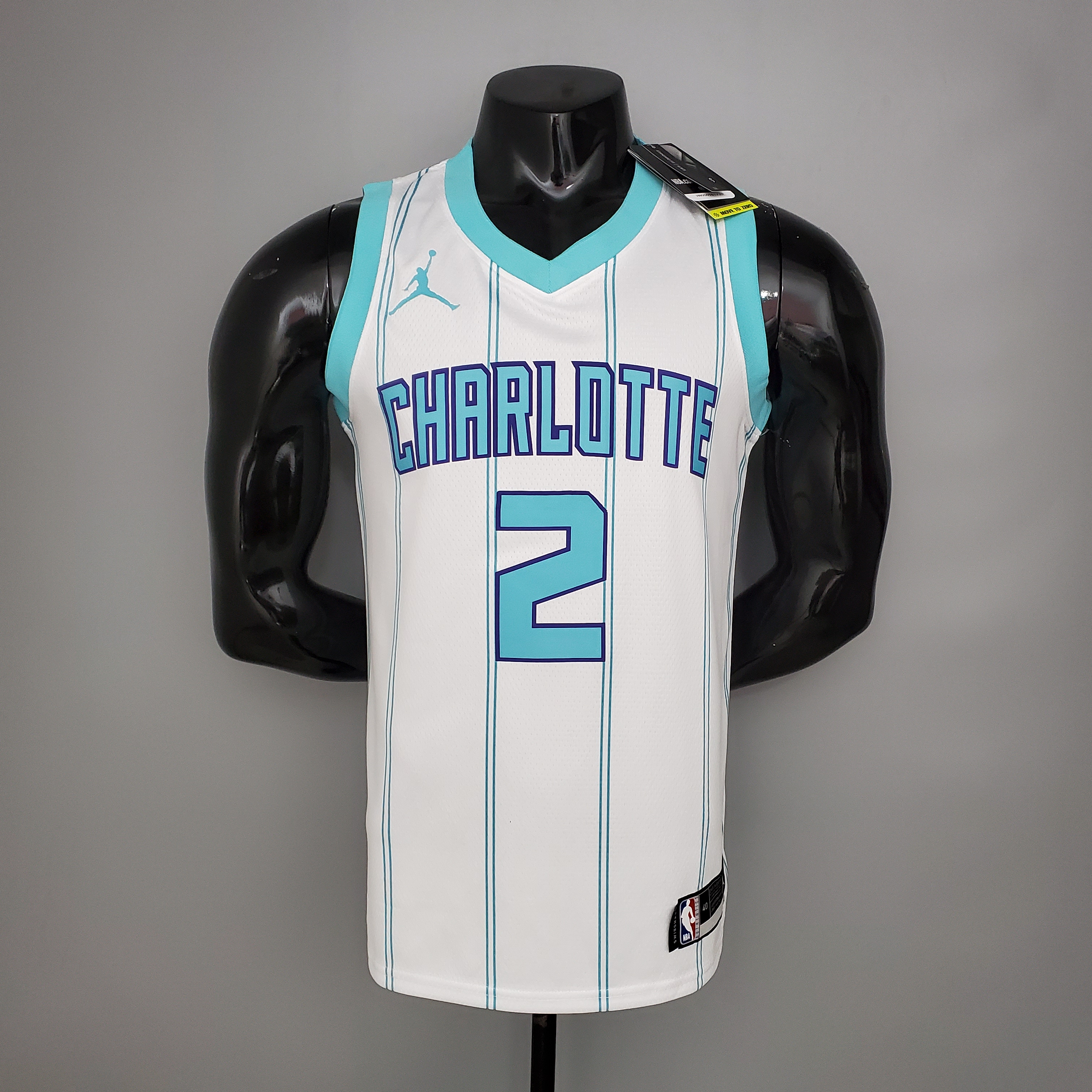 Charlotte Hornets