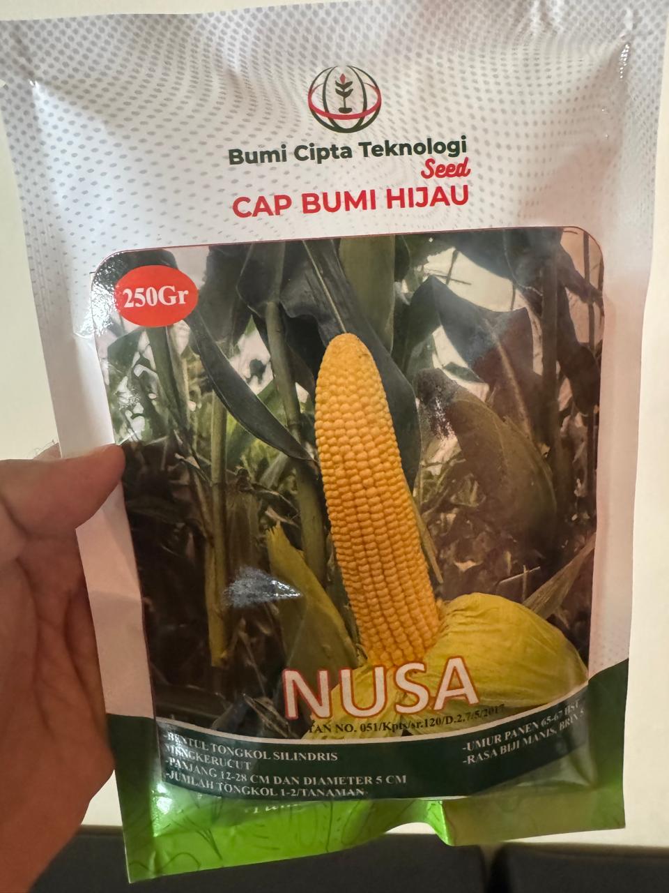 Jagung Manis "NUSA"