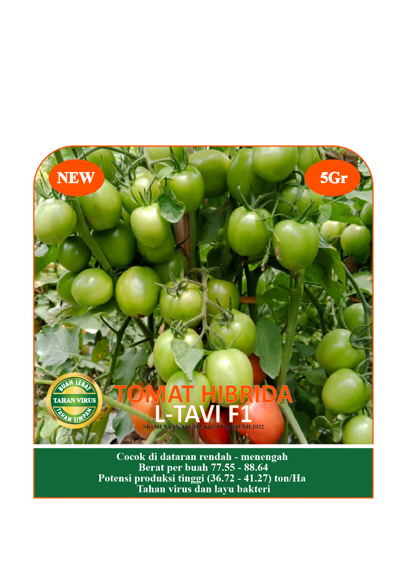 Tomat Hibrida "L-TAVI F1"