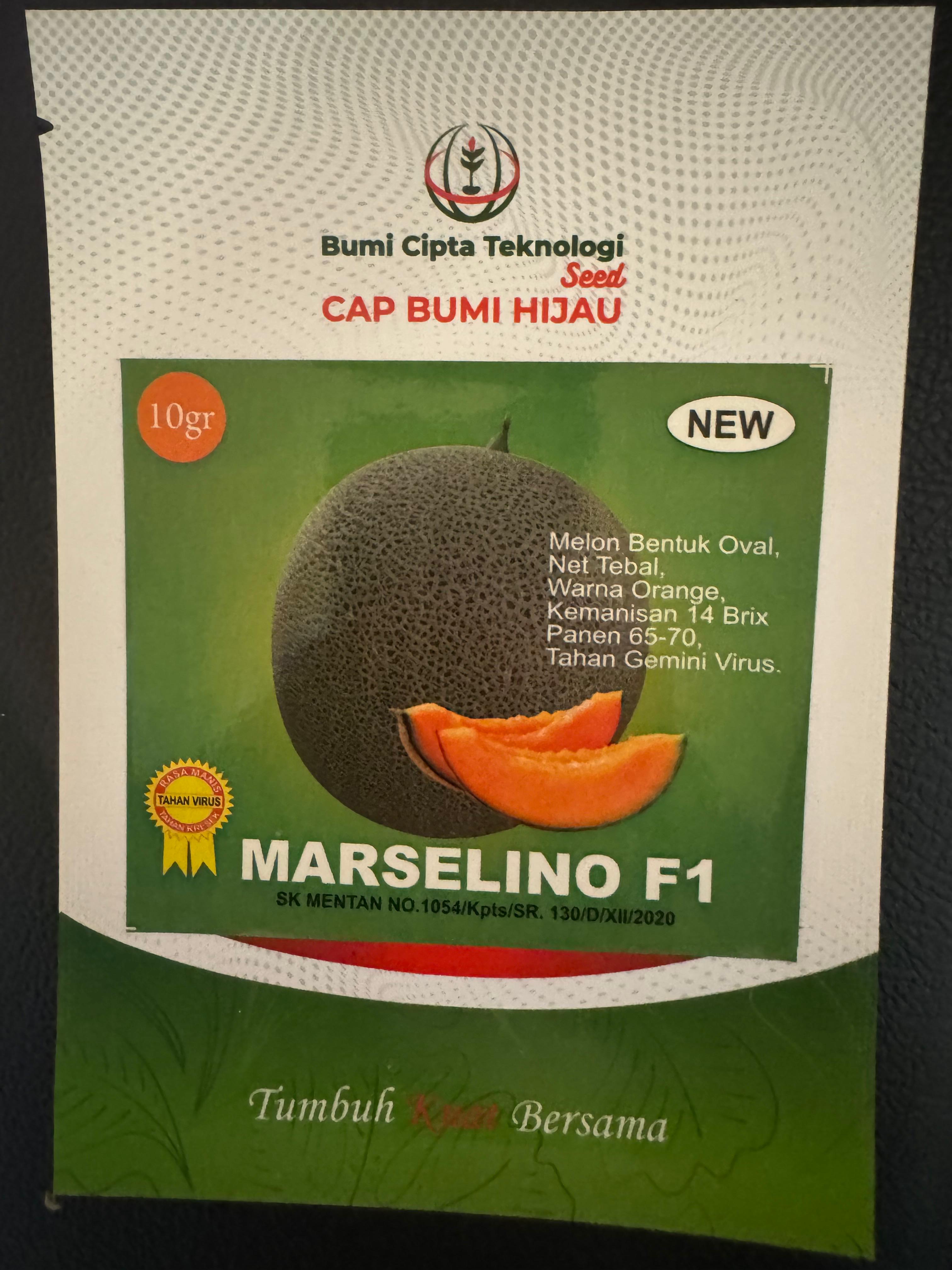 Melon Orange Hibrida " MARSELINO F1"