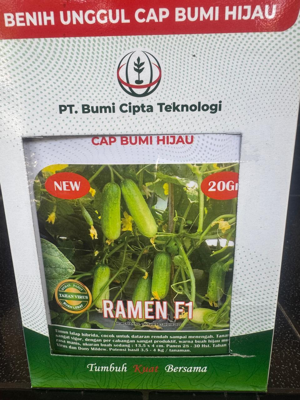 RAMEN F1