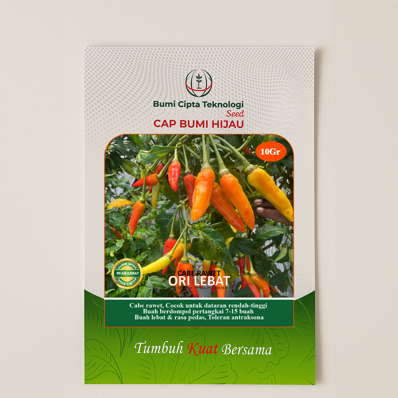 Cabai Rawit "ORI LEBAT"