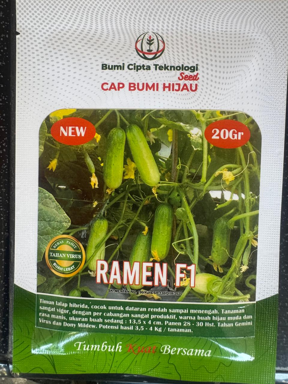 RAMEN F1