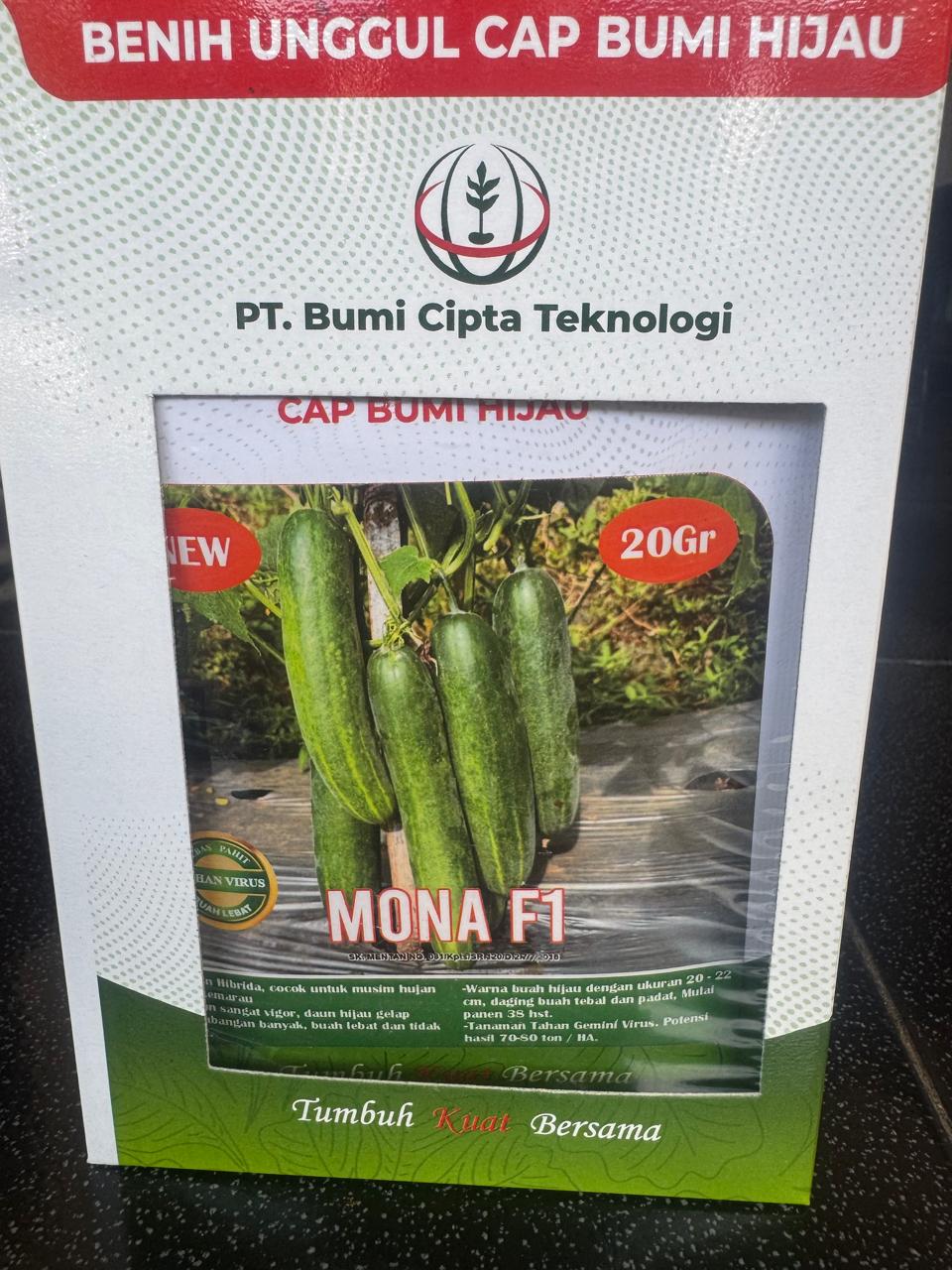 Mentimun Hibrida "MONA F1"