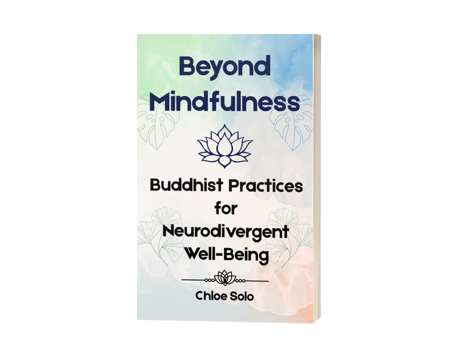 Beyond Mindfulness