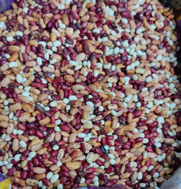 Mix Rajma (Assorted Kidney Beans Blend) from Uttarakhand | Organic Himalayan Variety Pack – Veshak  