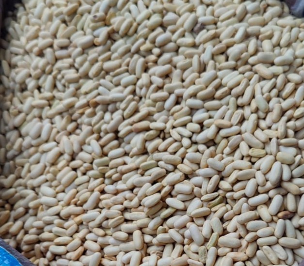 Safed Rajma from Uttarakhand | Organic White Kidney Beans | Premium Quality – Veshak