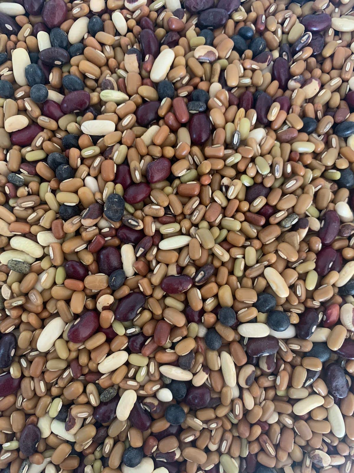 Mixed dried beans | Moti Mix Daal | Sourced straight from Uttarakhand farm