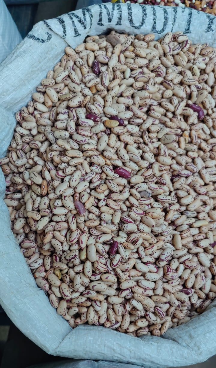 Buy Premium Chitra Rajma Online | Uttarakhand Organic Pahadi Rajma – Veshak