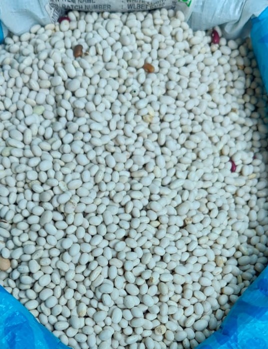 Simi Rajma (Speckled Kidney Beans) from Uttarakhand | Organic Himalayan Rajma – Veshak