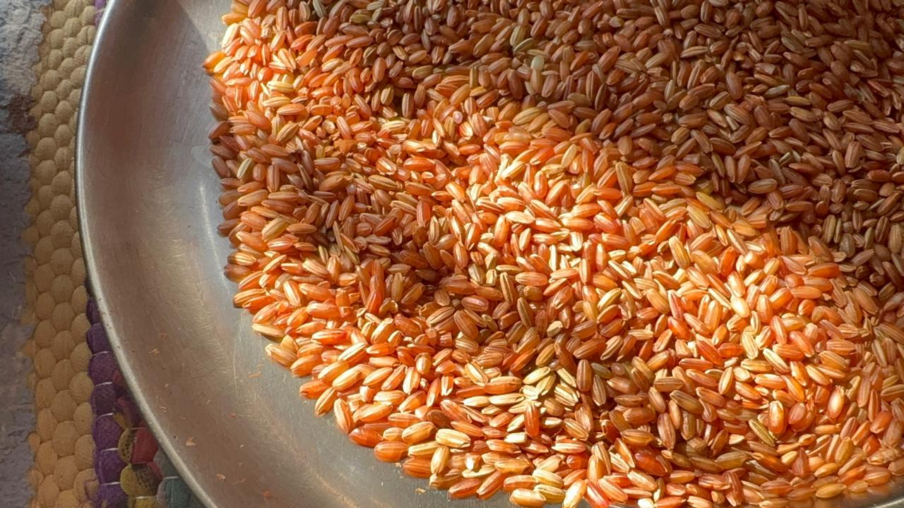 Organic Red Rice | Farm-Fresh Uttarakhand Lal Chawal | Authentic Raw Red Rice