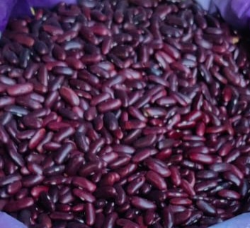Red Rajma (Red Kidney Beans) from Uttarakhand | Organic Himalayan Laal Rajma – Veshak