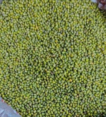 Pahadi Moth Ki Daal: Authentic Moth Beans| Dew Beans | Mat Beans from the Himalayas