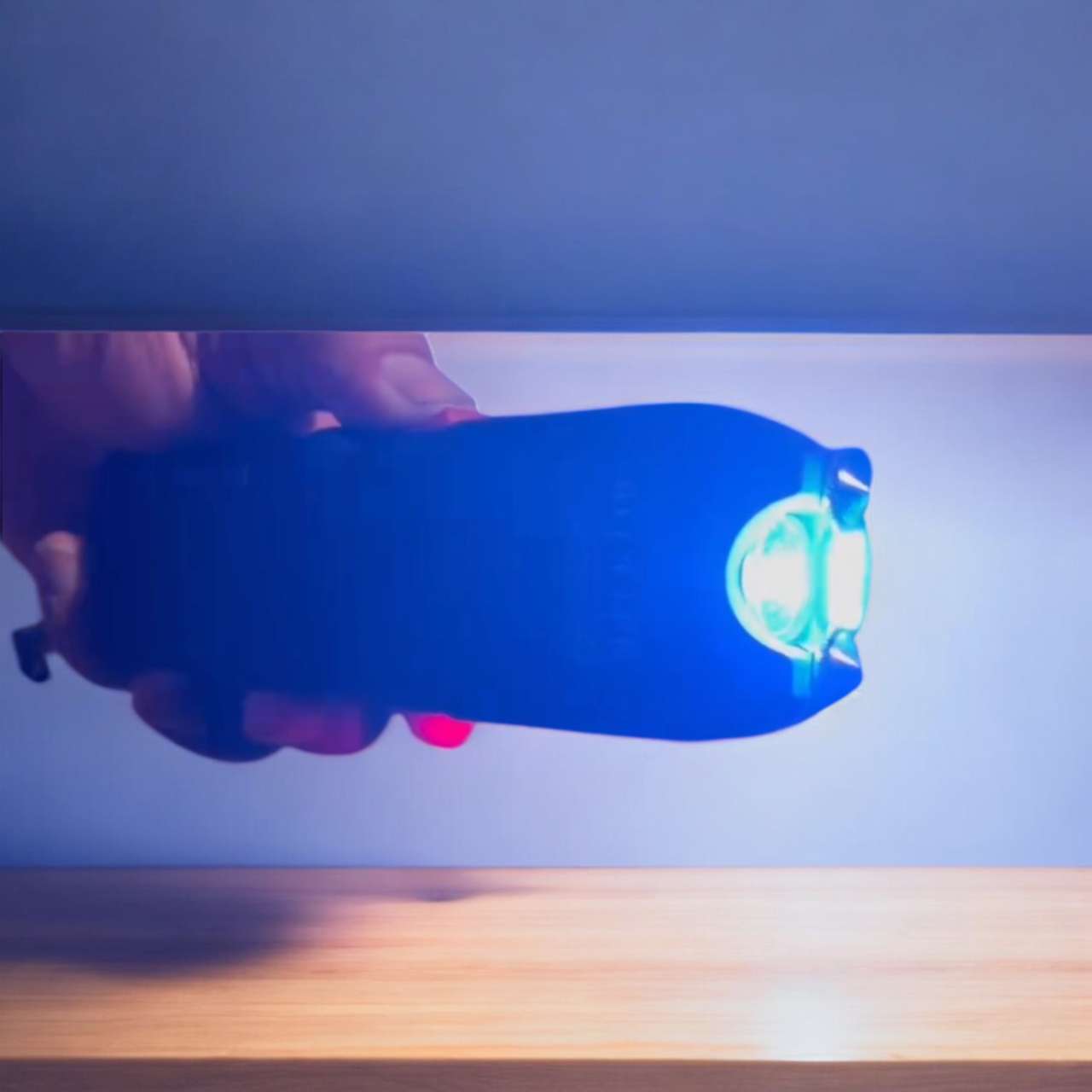 GT-911 High-Power Stun Device