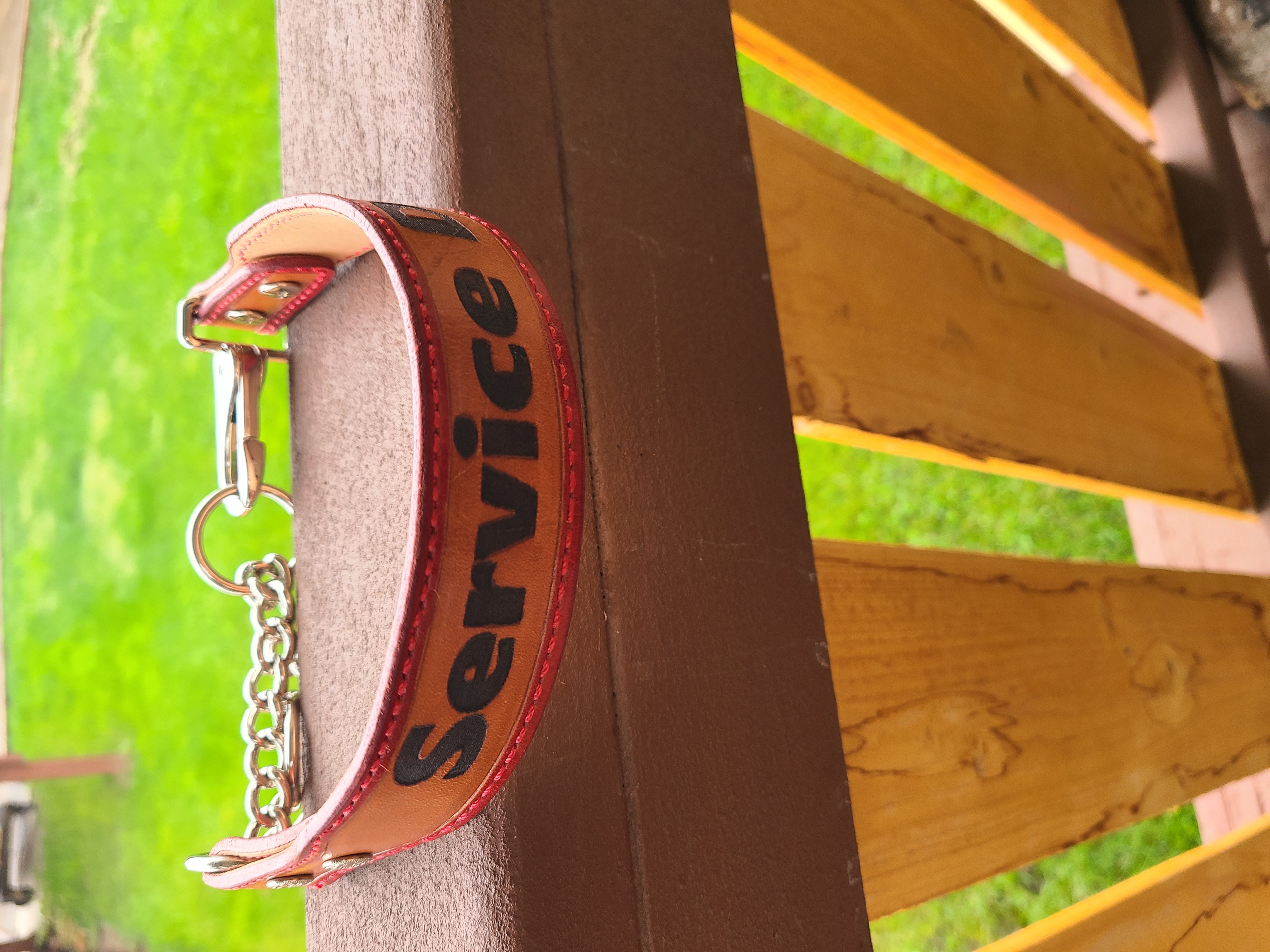 Service Dog Training Collar 