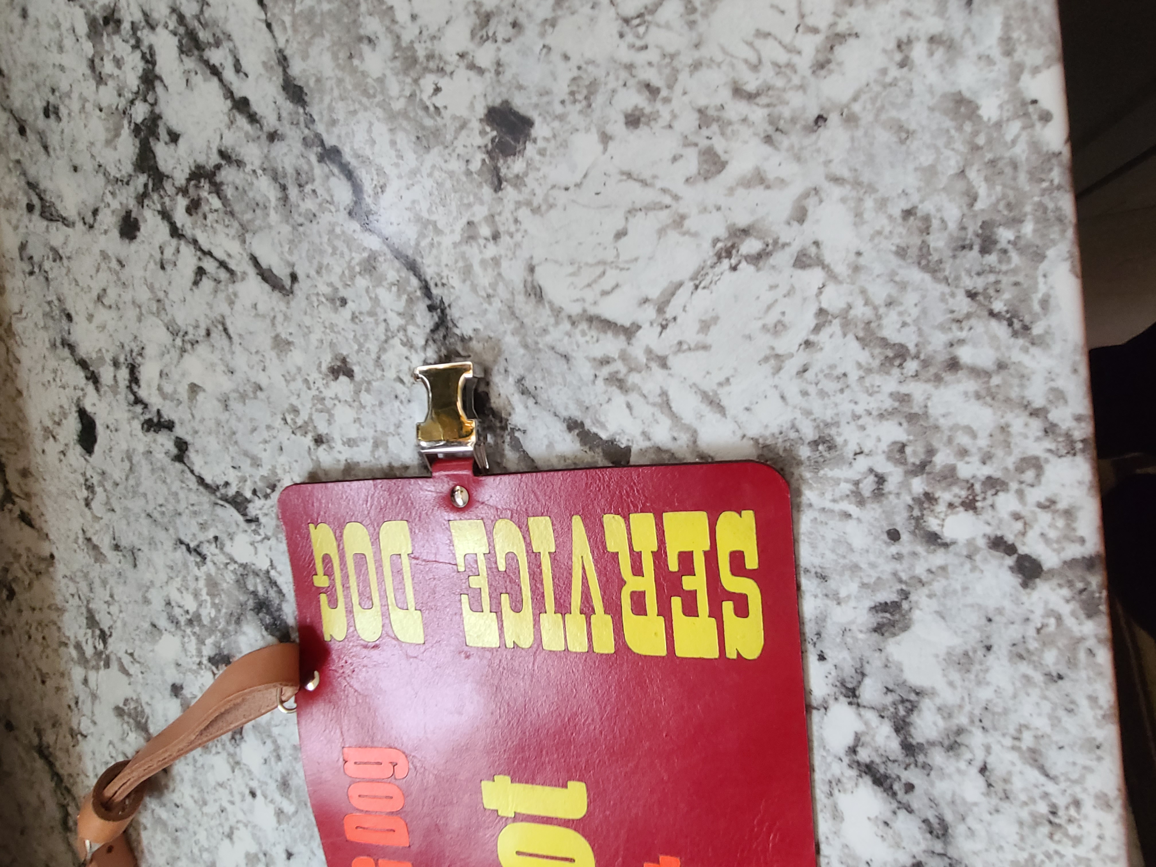 Leather Service Dog Vest 