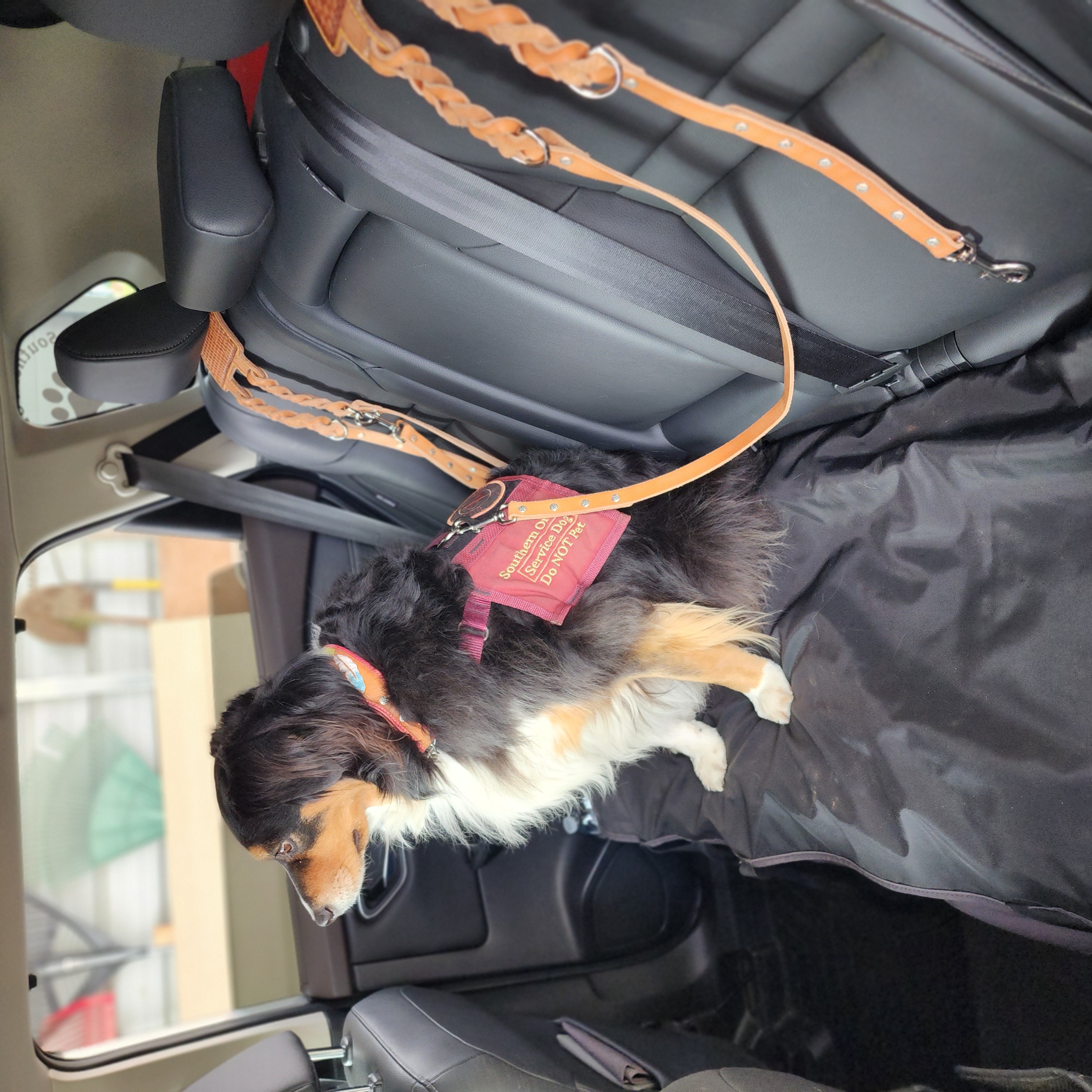 Babie's Bye-Bye Belts