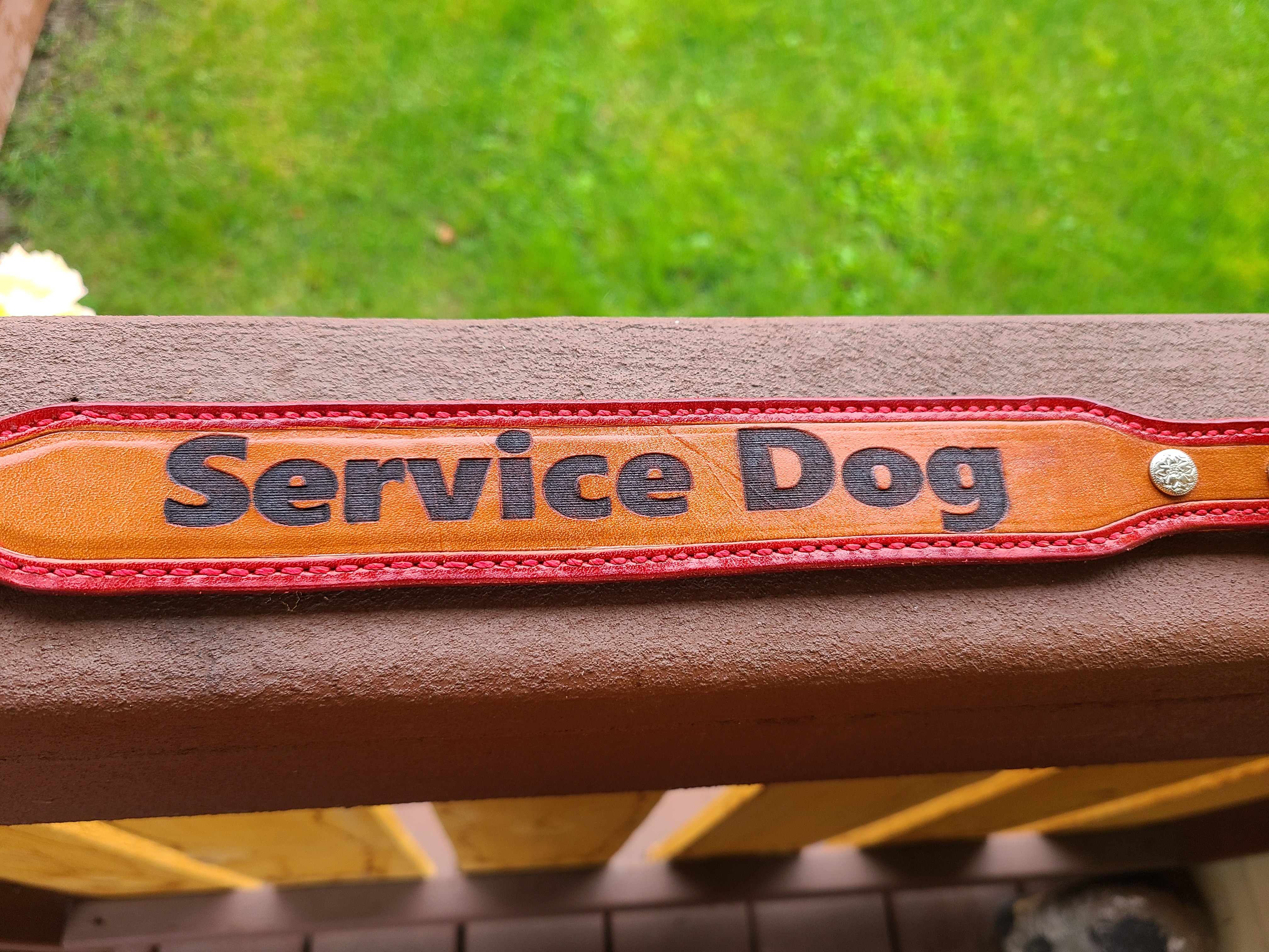 Service Dog Training Collar