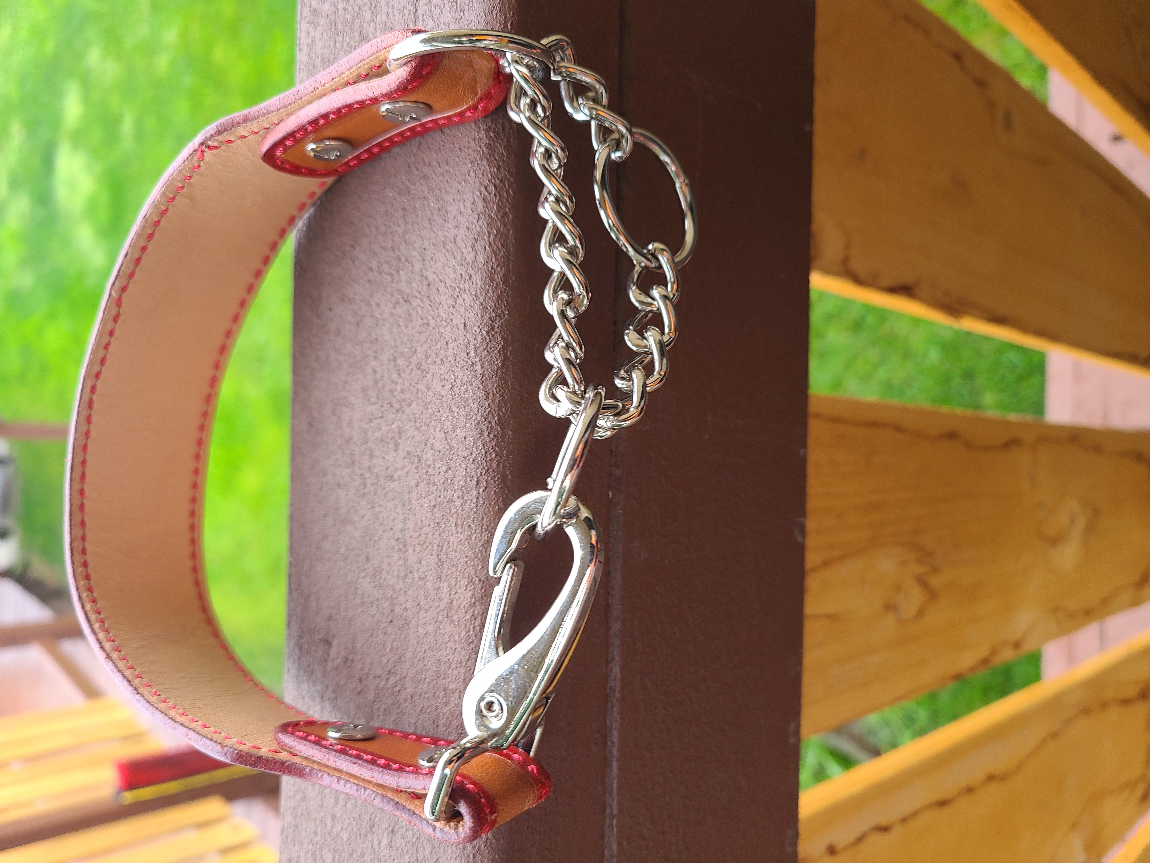 Service Dog Training Collar 