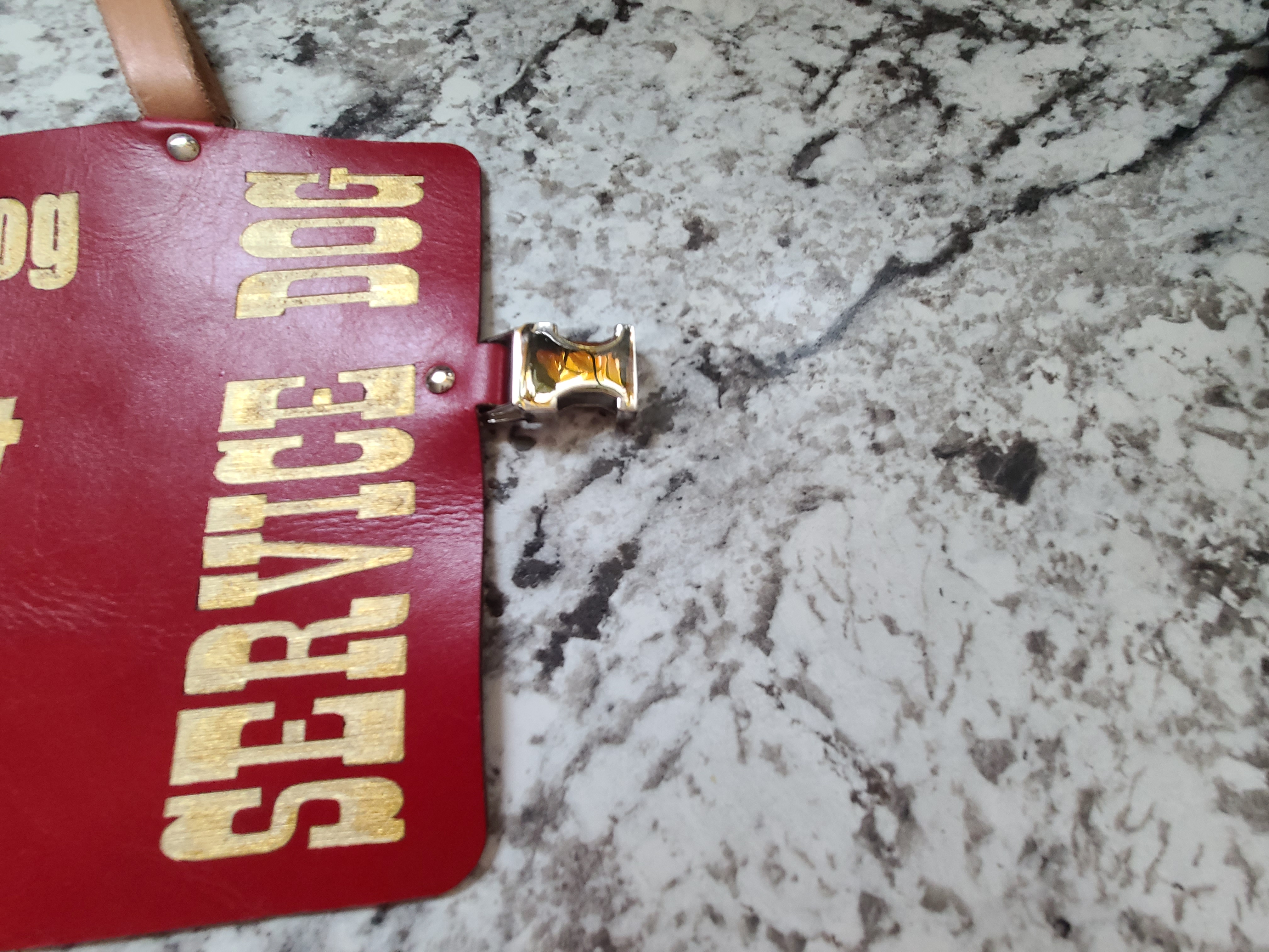 Leather Service Dog Vest