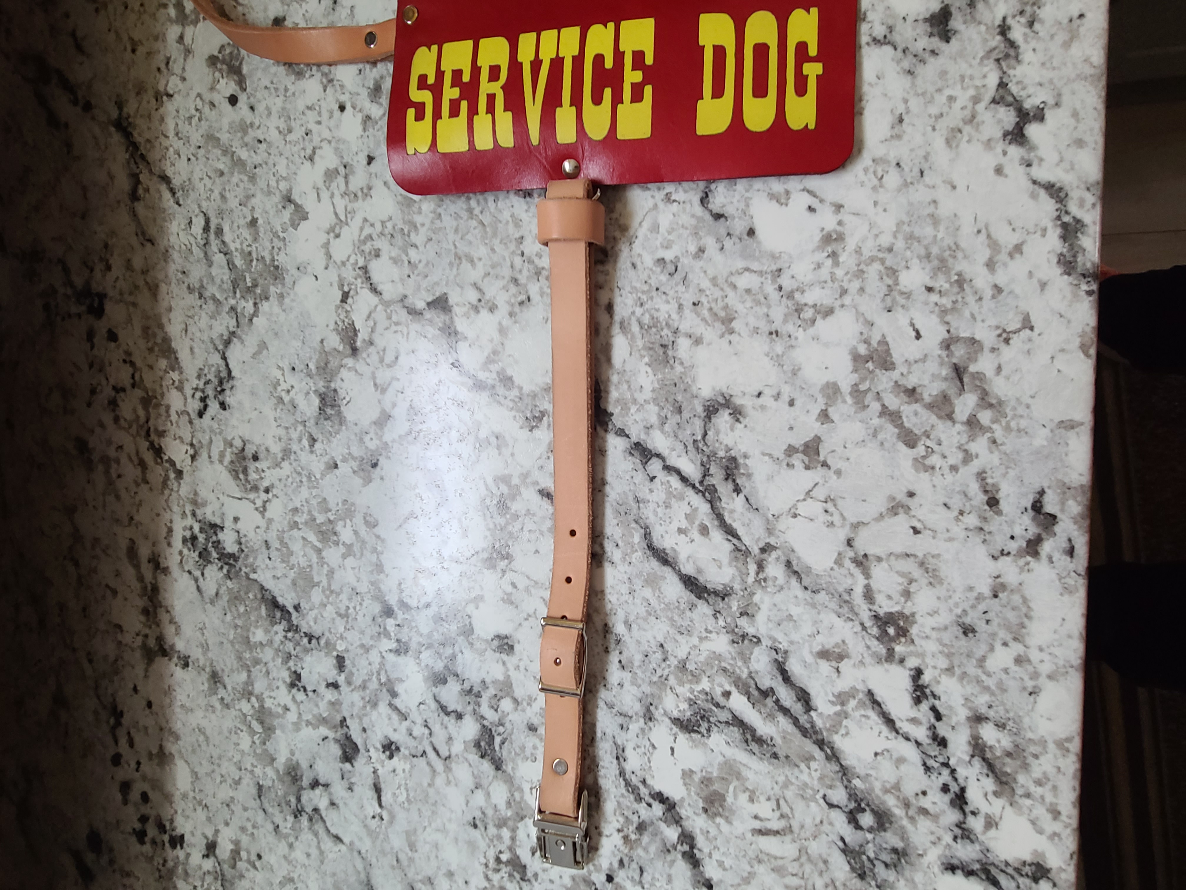Leather Service Dog Vest 