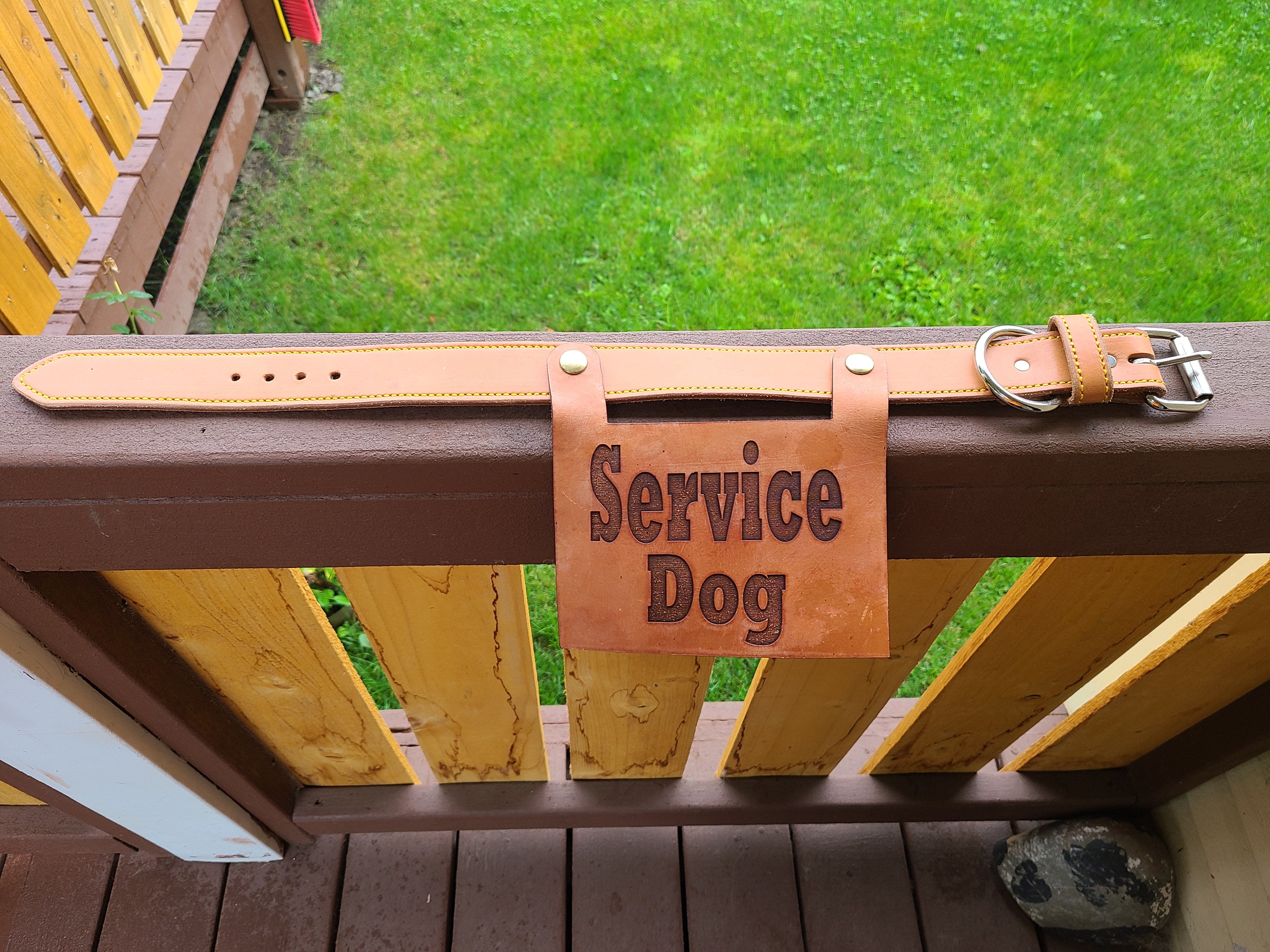 Leather Service Dog Collar w/Cape