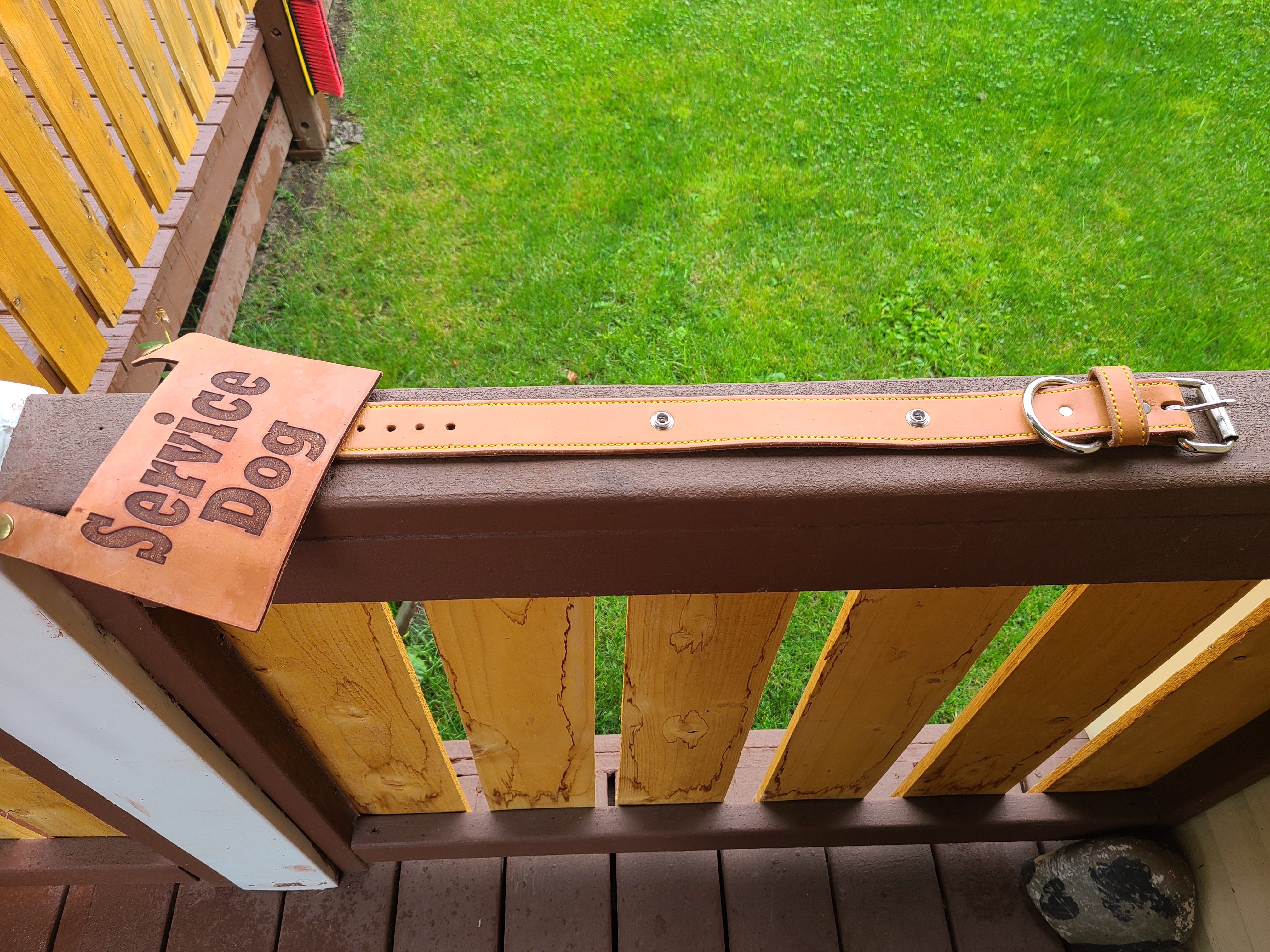 Leather Service Dog Collar w/Cape