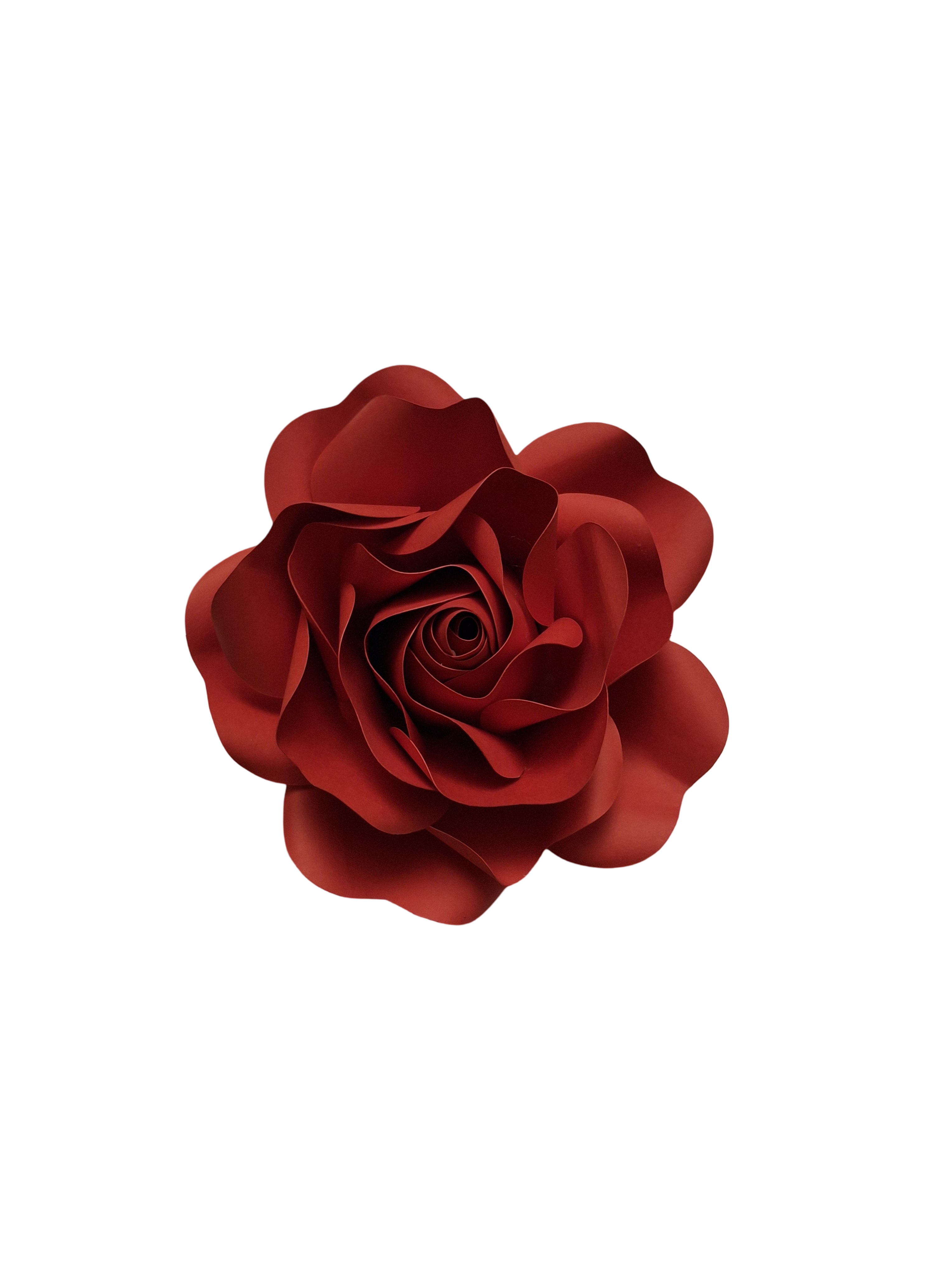 🌹 Elegant Cutout Paper Roses – Custom Bundle