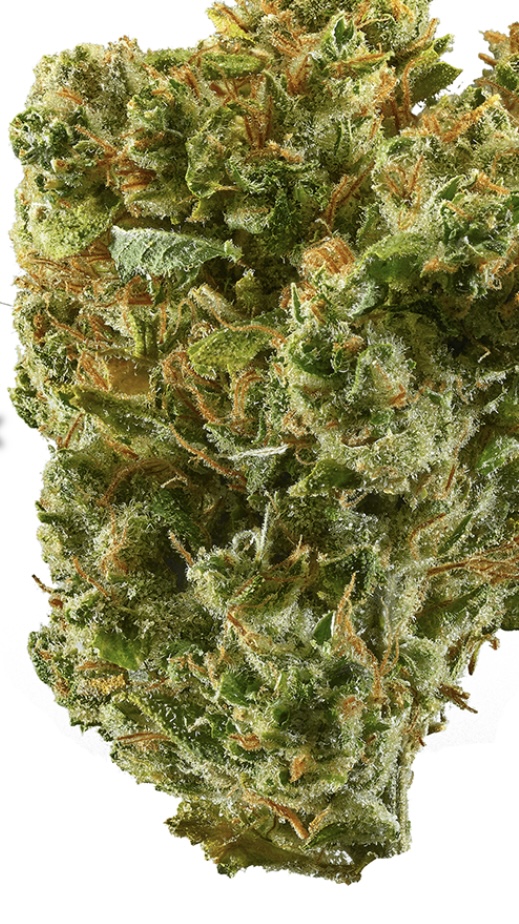 Silver Haze  7 grams  22% THC. 1% CBD