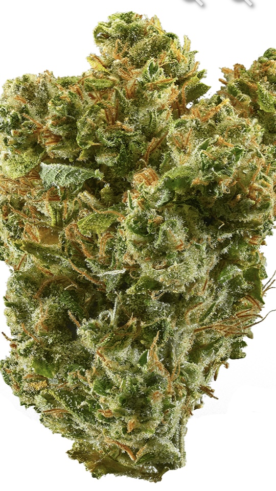 Silver Haze 3.5 g  22% THC. 1% CBD