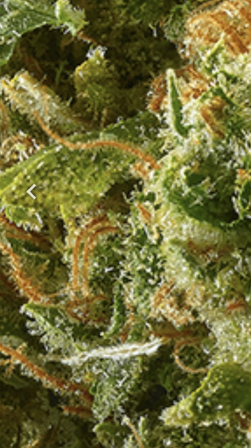 Silver Haze  7 grams  22% THC. 1% CBD