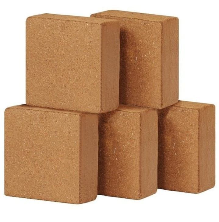 Clay Bricks