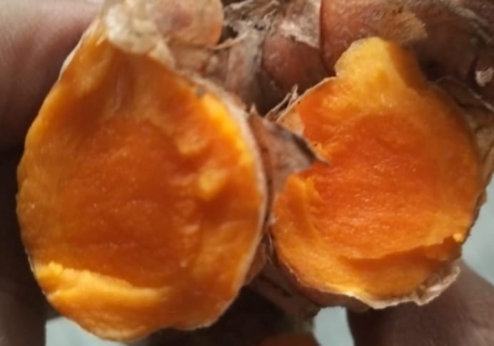 Kandungan Curcumin sangat tinggi