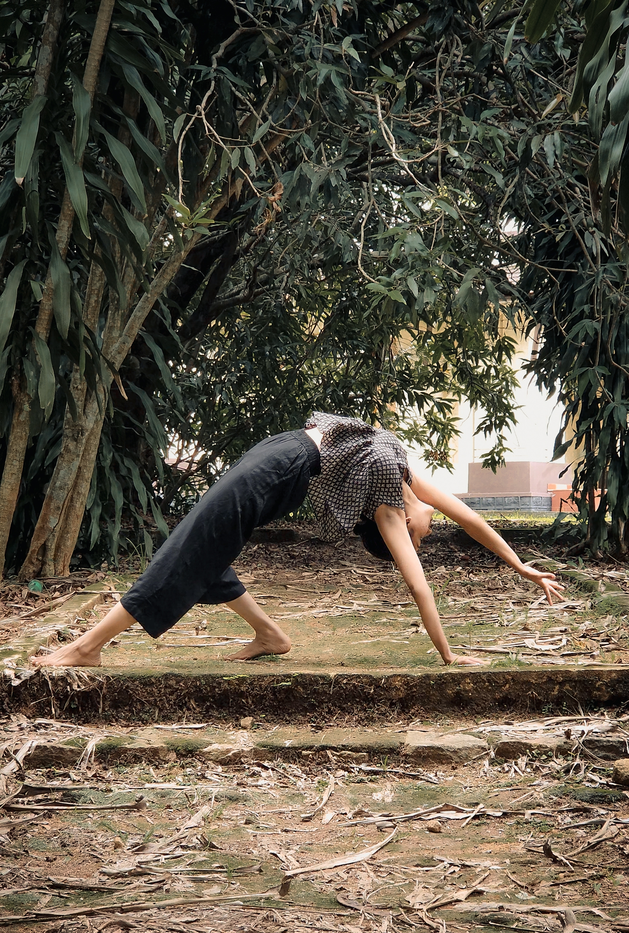 Wellness Yoga Package