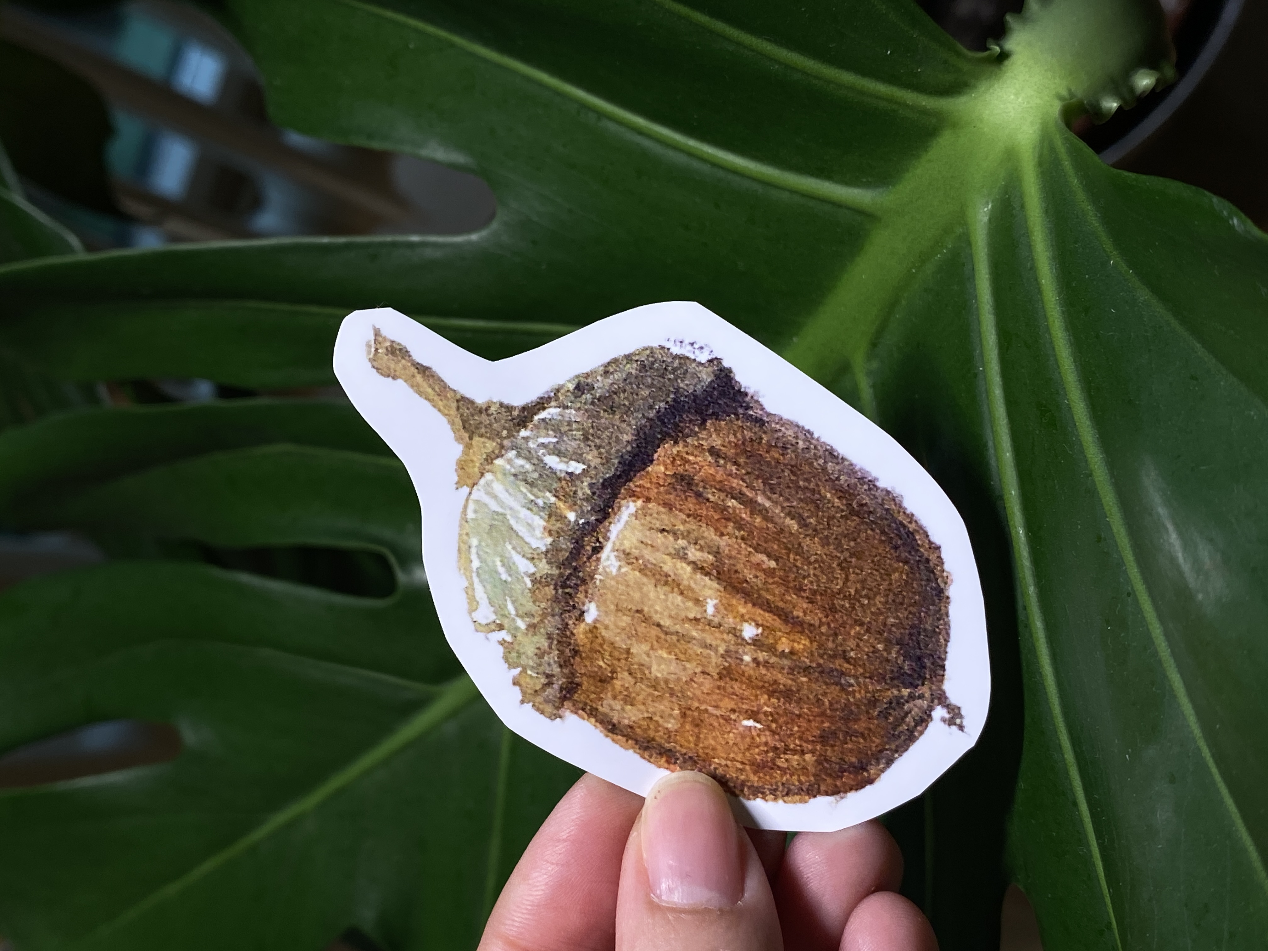 Watercolor Acorn Sticker