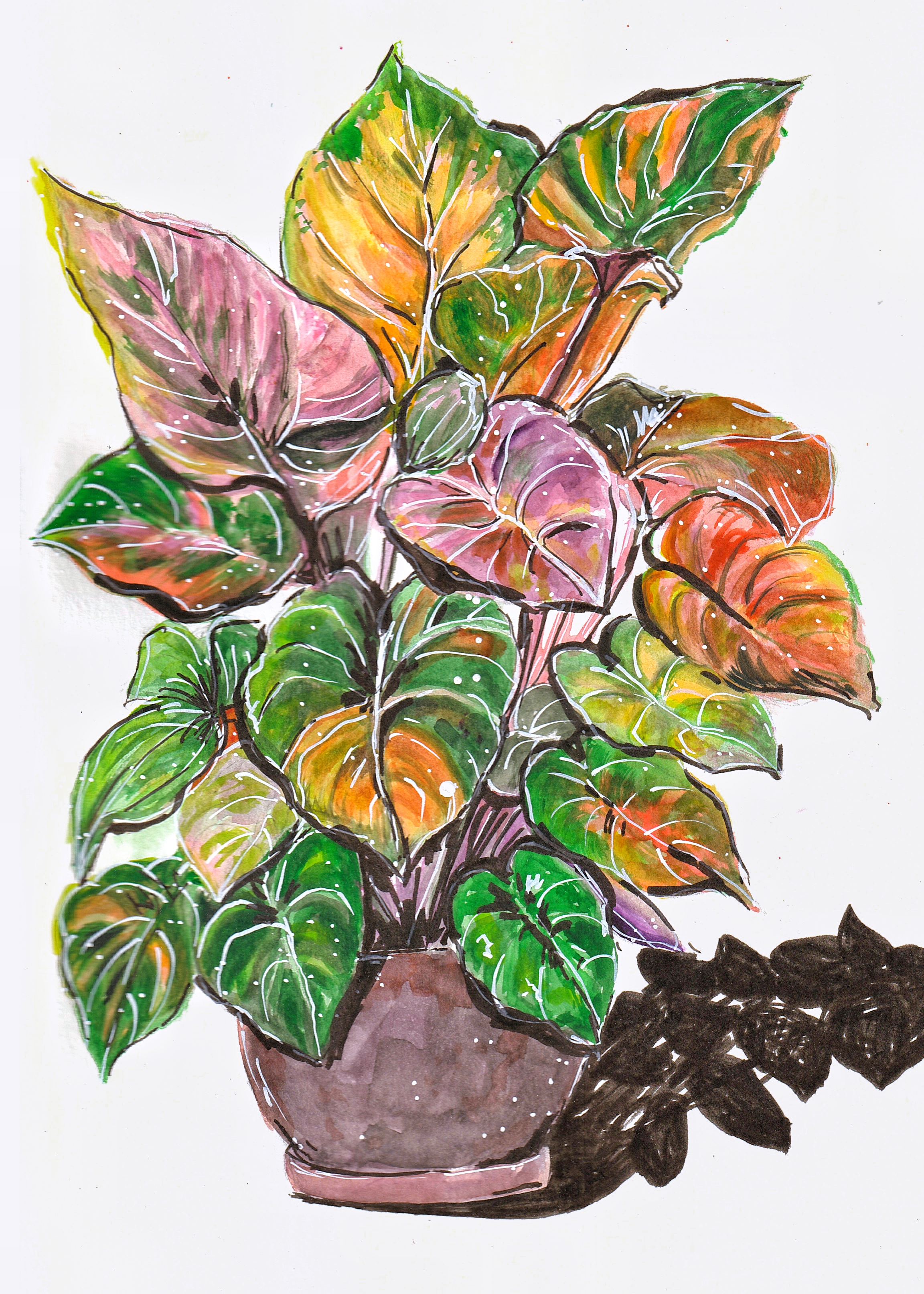 Vibrant Philodendron, Fine art Giclée Print (A4 & A3 available)