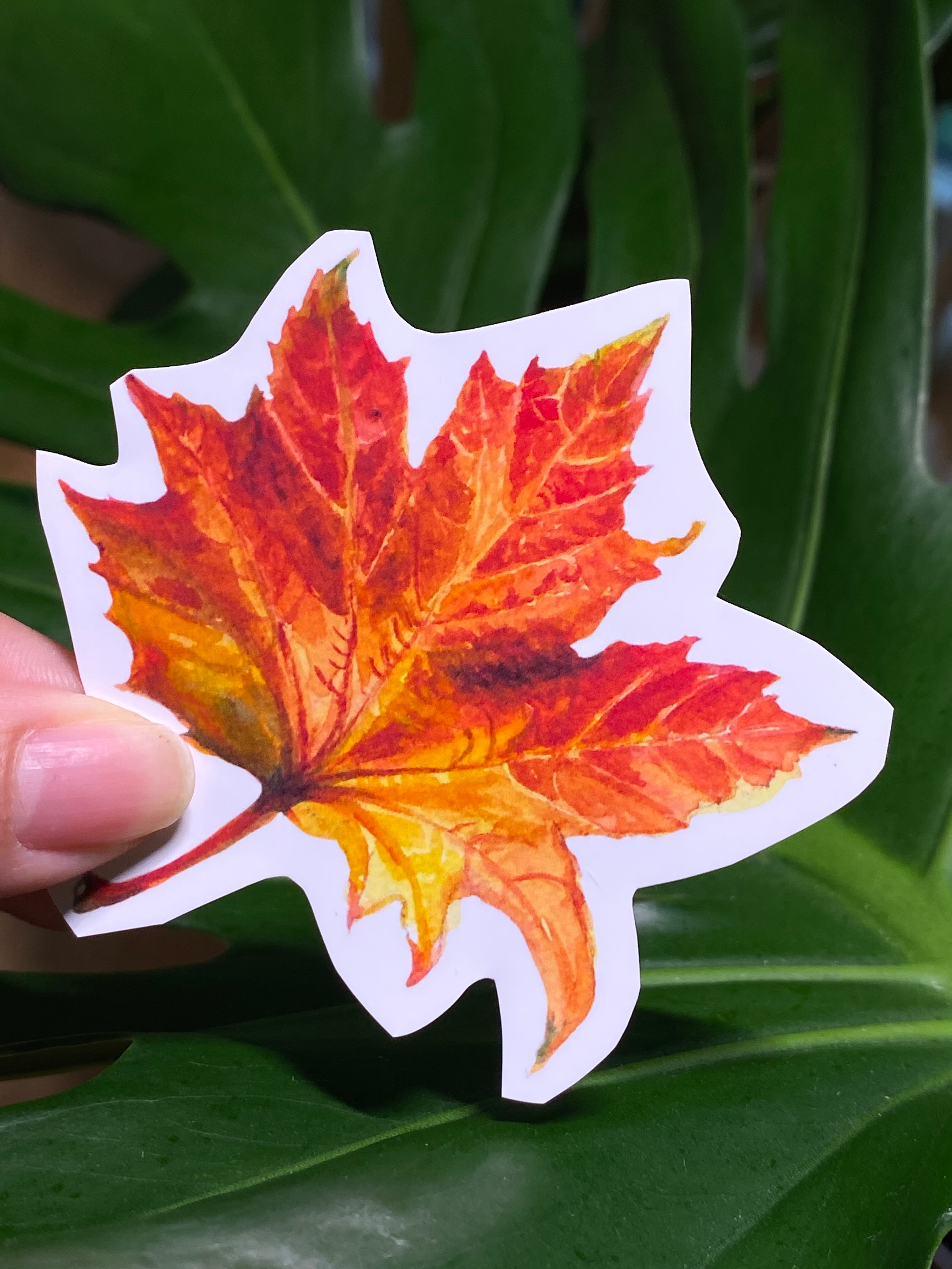 Autumn Forest Animal Sticker Set