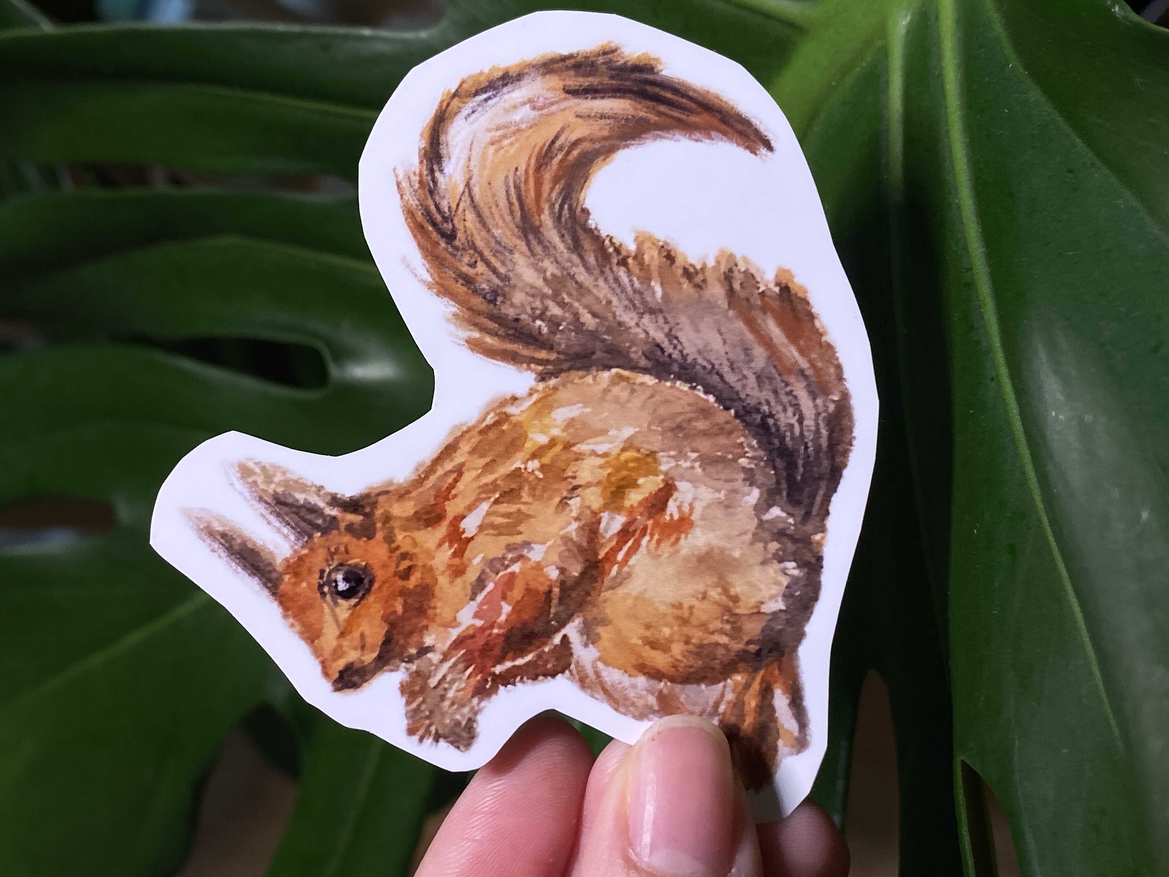 Watercolor Squirrel Sticker