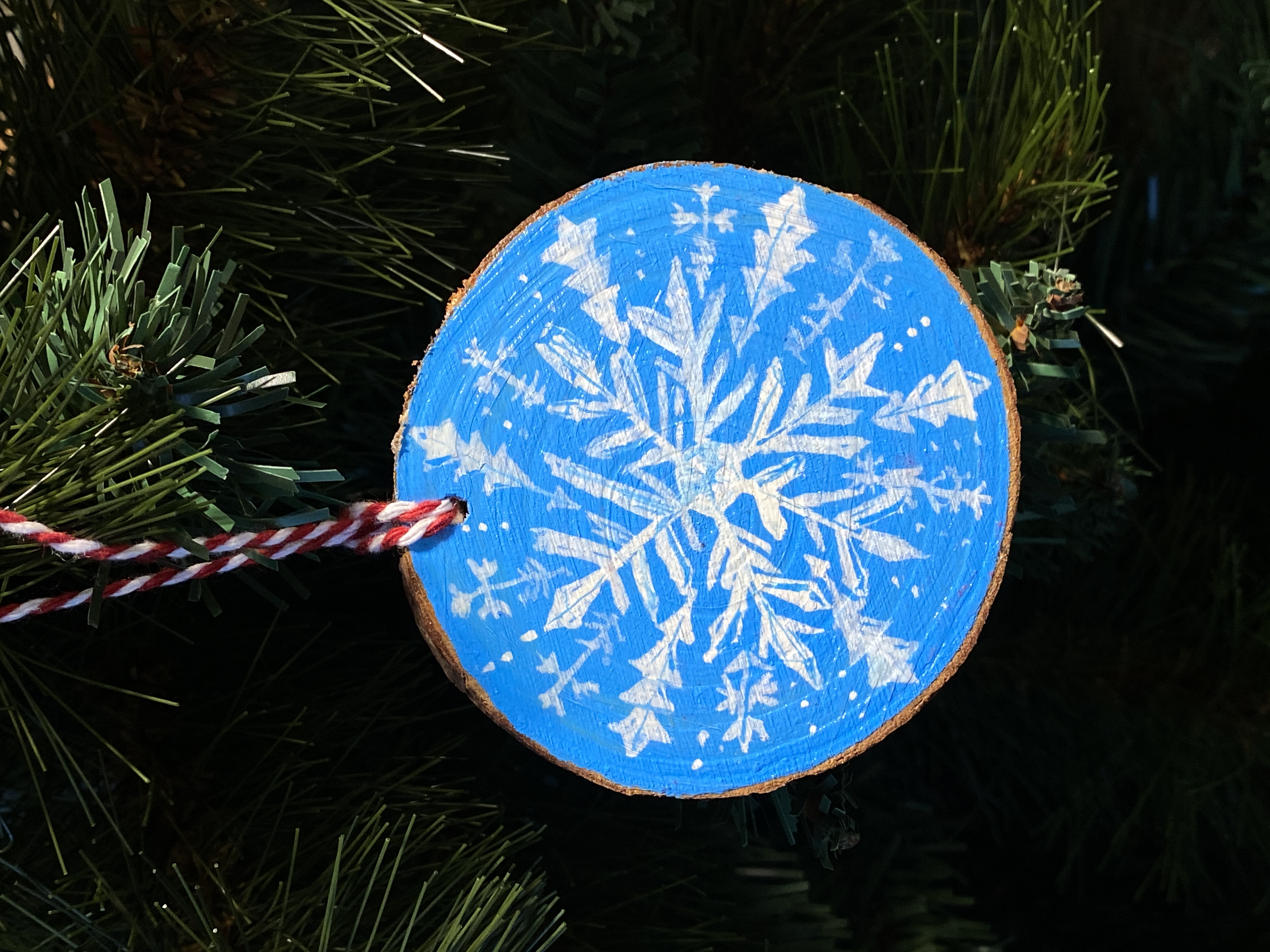 Hand-painted Snowflake Ornament